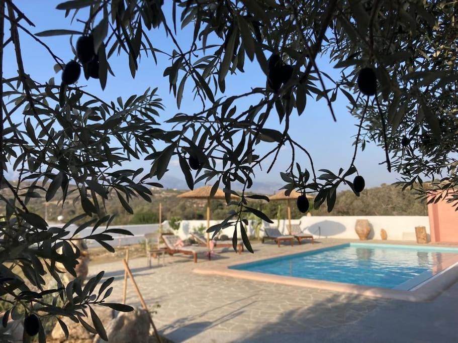 Villa Louloudia Stylish Luxury Villa With Private Pool Picídia Kültér fotó