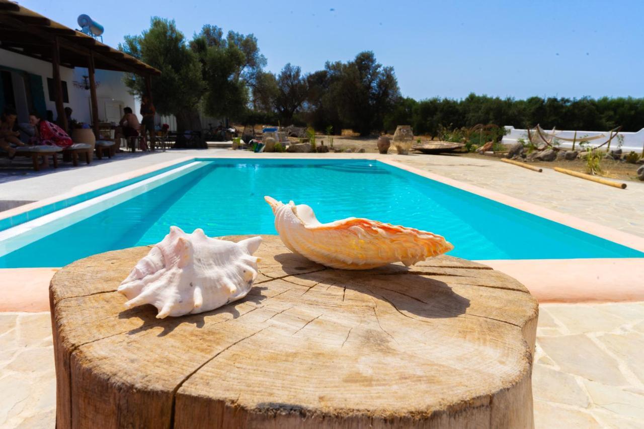 Villa Louloudia Stylish Luxury Villa With Private Pool Picídia Kültér fotó